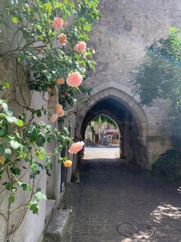 Maison Jeanne D'Arc Mennetou-sur-Cher Exteriör bild